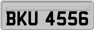 BKU4556