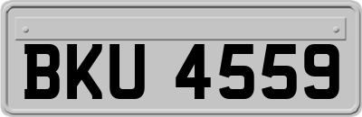 BKU4559