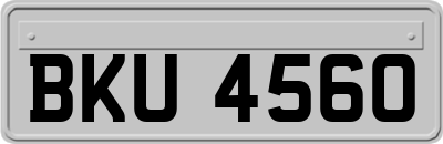 BKU4560
