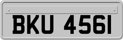BKU4561