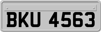 BKU4563