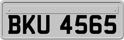 BKU4565