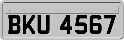 BKU4567