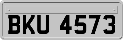BKU4573