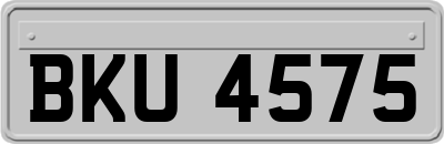 BKU4575