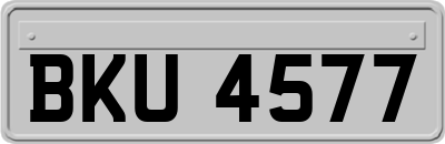 BKU4577