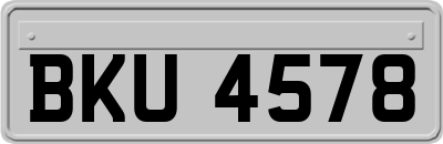 BKU4578