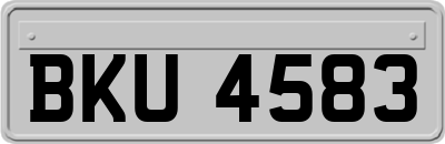 BKU4583