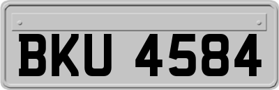 BKU4584