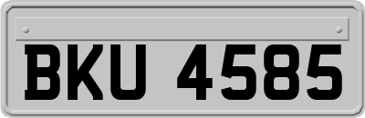 BKU4585