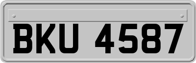 BKU4587