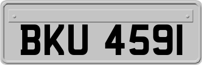 BKU4591
