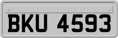 BKU4593