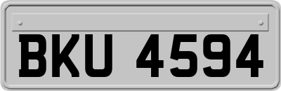 BKU4594