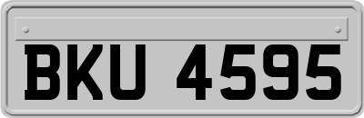 BKU4595