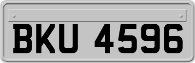 BKU4596