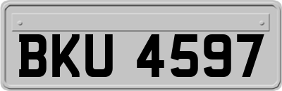 BKU4597