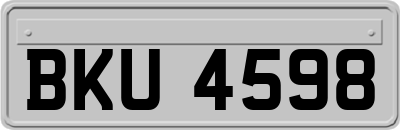 BKU4598