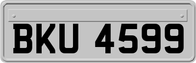 BKU4599