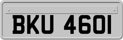 BKU4601
