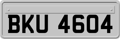 BKU4604