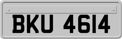BKU4614