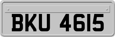 BKU4615