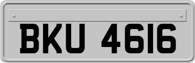BKU4616