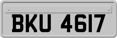 BKU4617