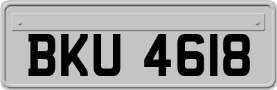 BKU4618