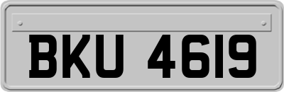BKU4619