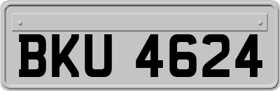BKU4624