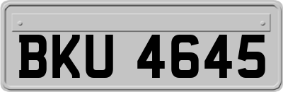 BKU4645