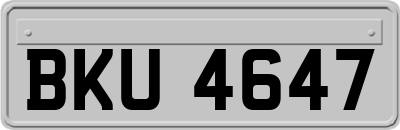 BKU4647