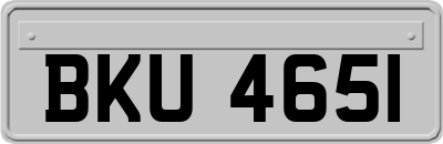 BKU4651