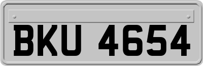 BKU4654
