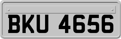 BKU4656