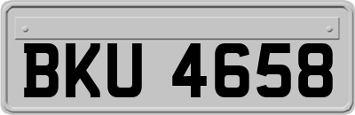 BKU4658