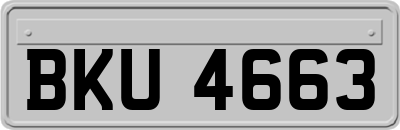 BKU4663