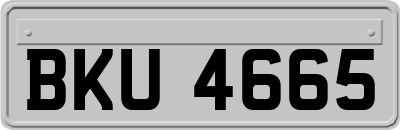 BKU4665