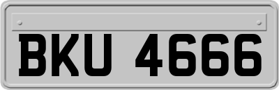 BKU4666
