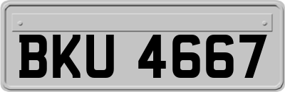 BKU4667