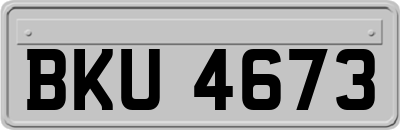 BKU4673