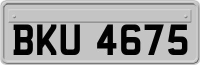 BKU4675