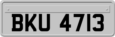 BKU4713
