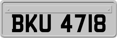 BKU4718