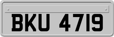 BKU4719