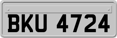 BKU4724
