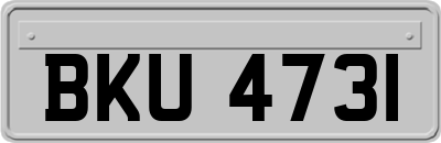 BKU4731