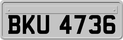 BKU4736
